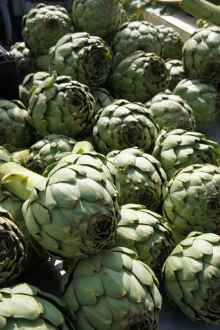 Artisjokken uit Bretagne